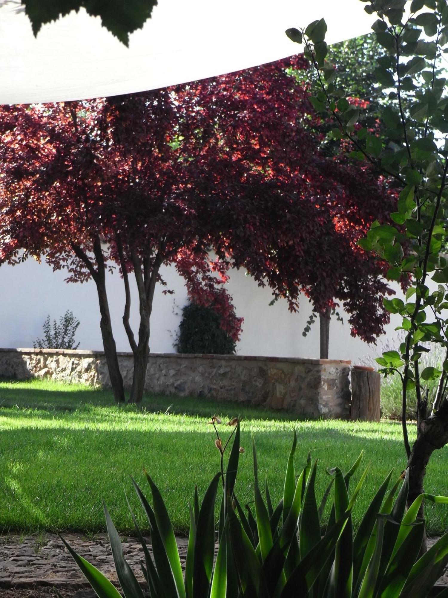 Casa Rural La Alameda Madridejos Esterno foto