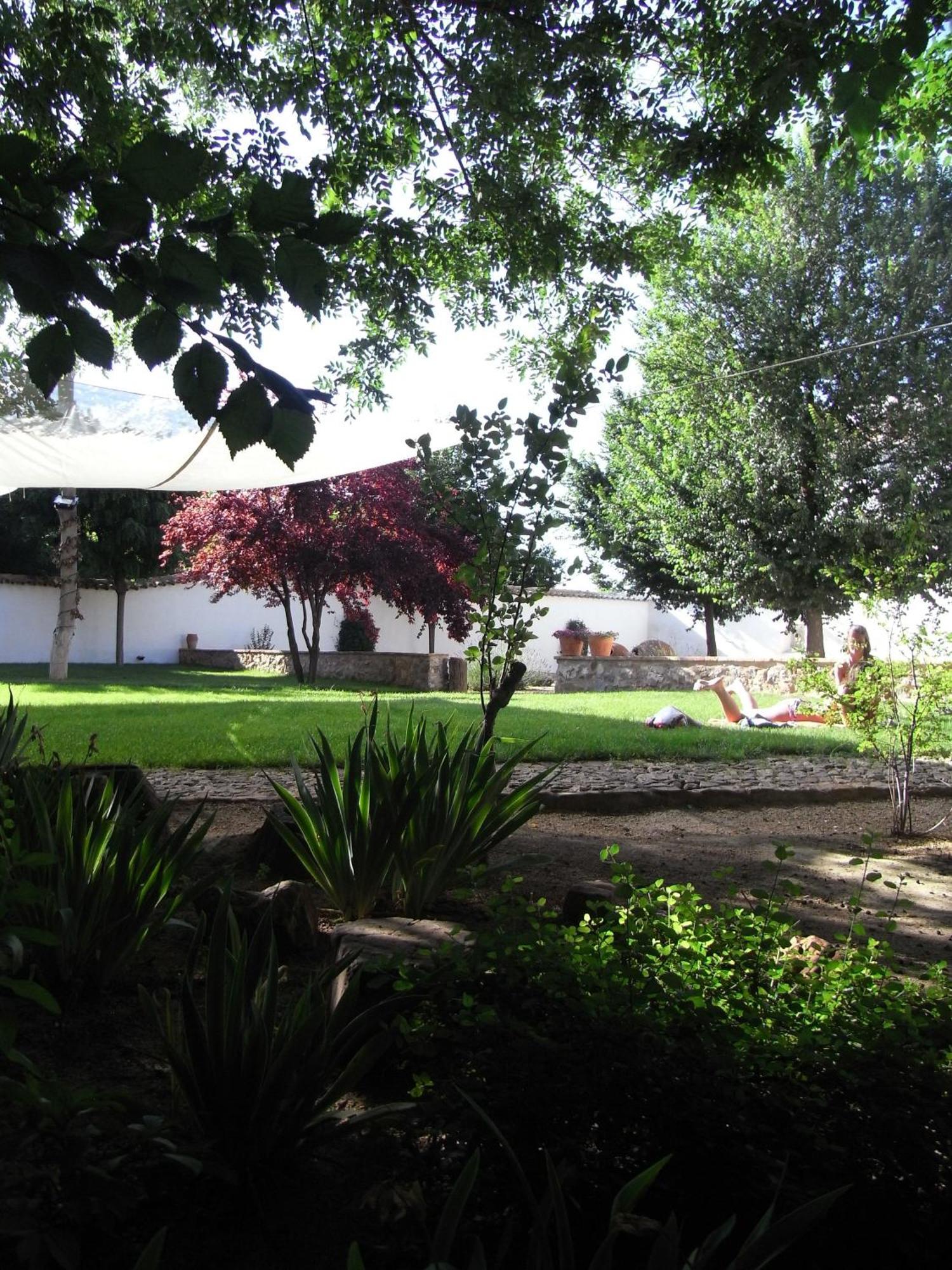 Casa Rural La Alameda Madridejos Esterno foto